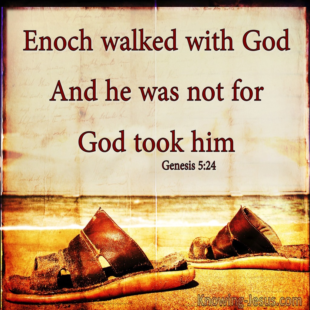 Genesis 5:24 Enoch Walked With God And Was (brown)